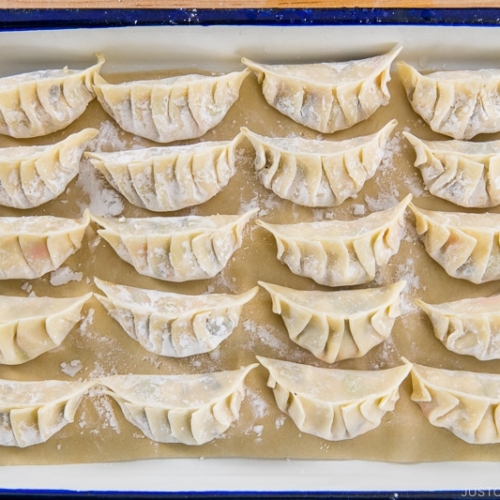 How to Fold Gyoza • Just One Cookbook