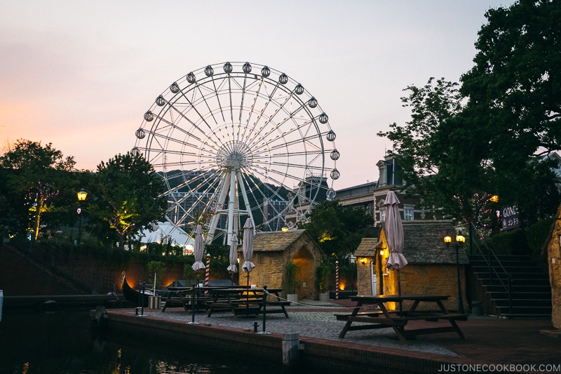 ferris wheel