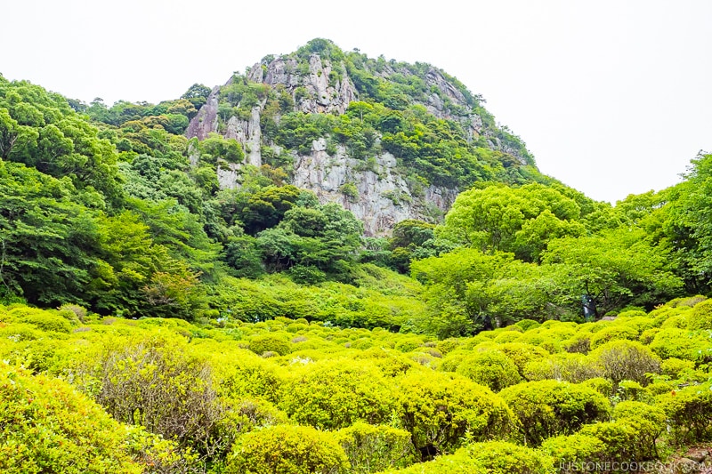 the mountain at Mifuneyama Rakuen