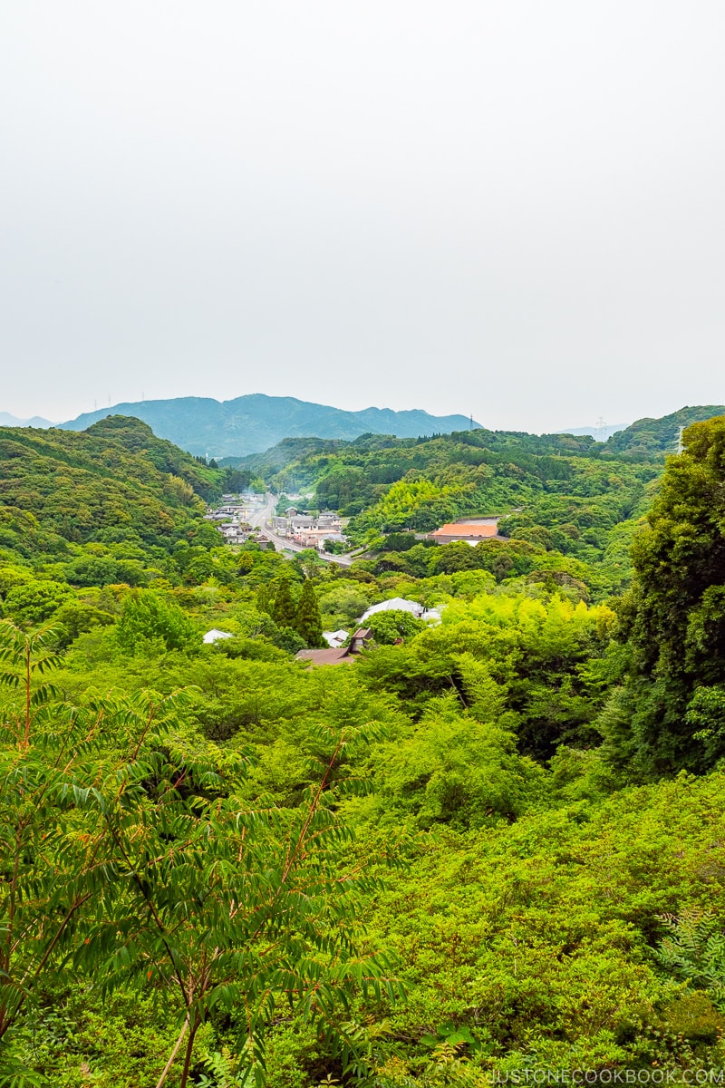 view from the hilltop at Mifuneyama Rakuen