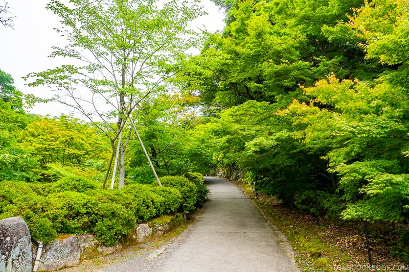 tree and walking path at Mifuneyama Rakuen