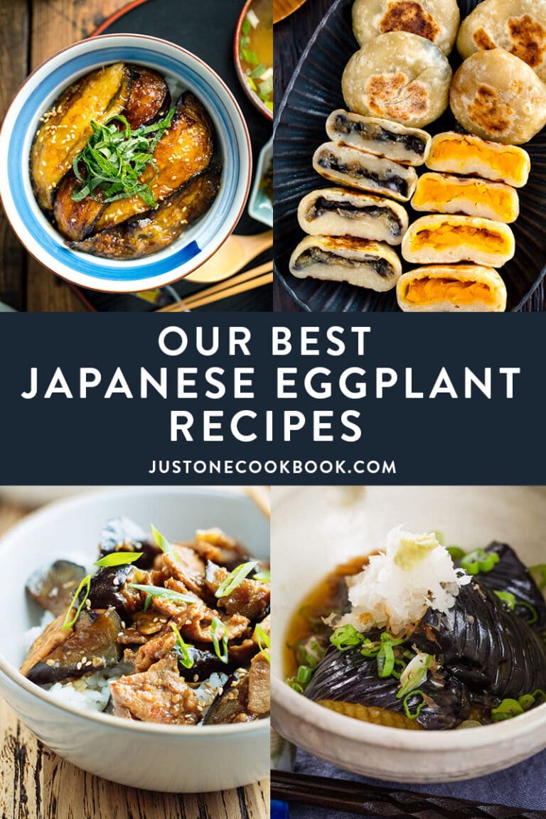 Our Best Japanese Eggplant Recipes • Just One Cookbook
