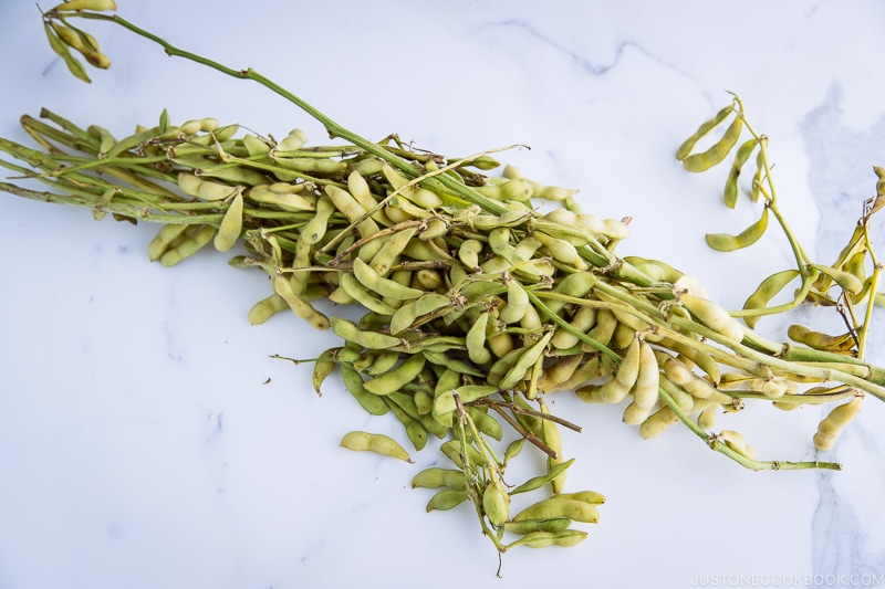 Edamame soy beans on the table.