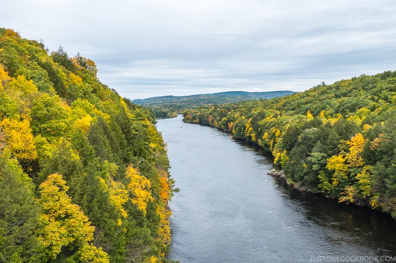 river flowing between two hills filled with trees