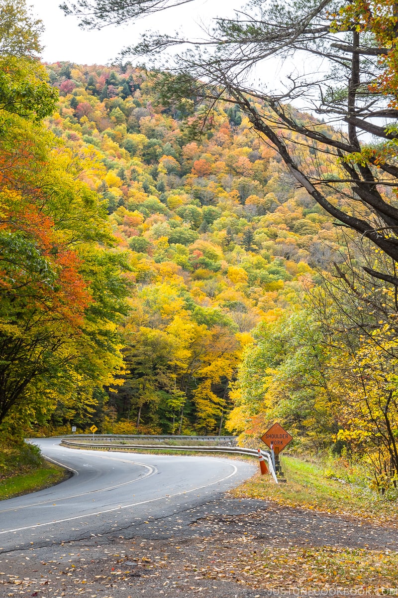 a windy road curving next to the mountain with trees