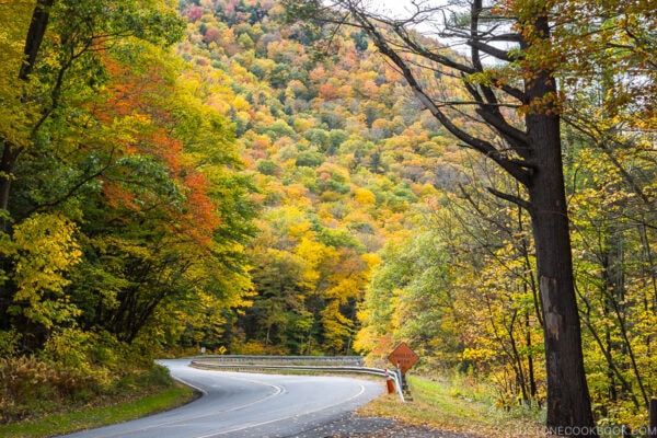 a windy road curving next to the mountain with trees