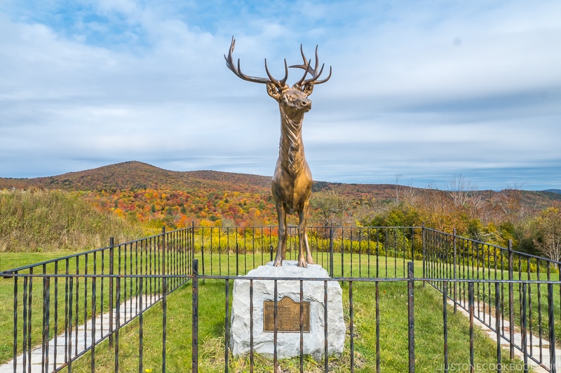 statues of a metal deer on a rock surrounded by metal gate in front of mountain scenery