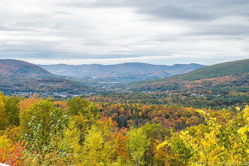 view of mountain scenery and foliage