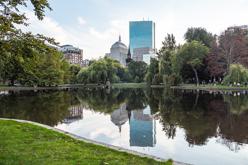 reflection of downtown building in the pond