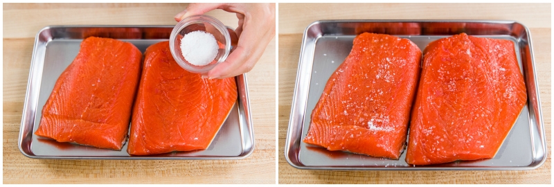 Salmon Flakes 1