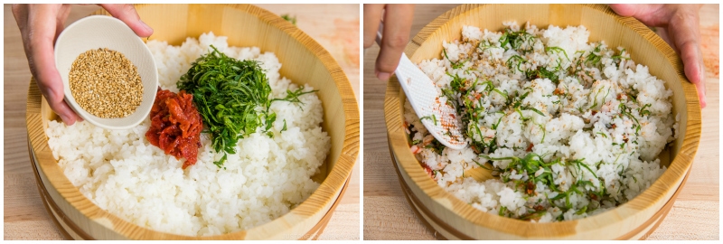 Ume and Shiso Rice 3