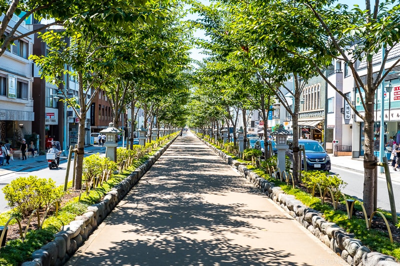 a pedestrian walking path lined with tree between two roads