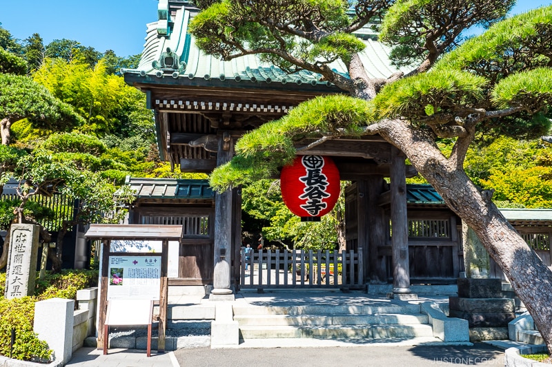 wood temple gate at Hasedera