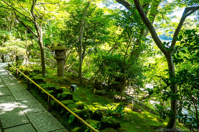 moss garden with a stone lamp next to walking path