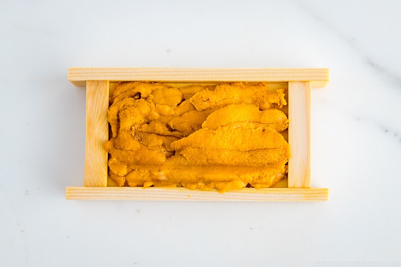 Uni (Sea Urchin) - Unique Ocean Delicacy • Just One Cookbook