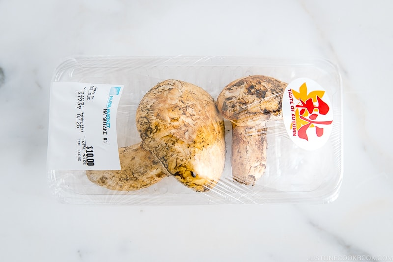 matsutake mushroom