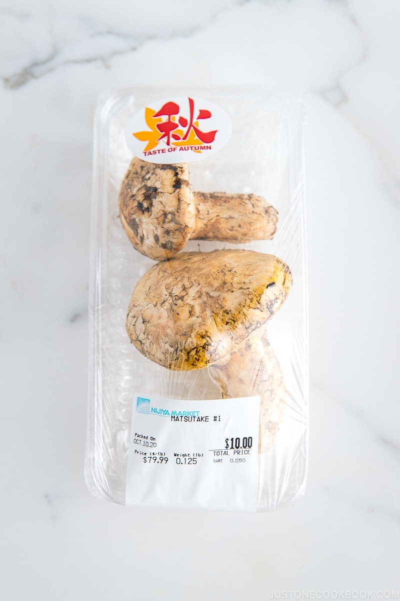 matsutake mushroom