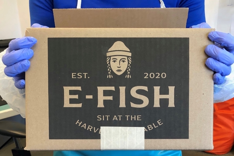 E Fish Box 