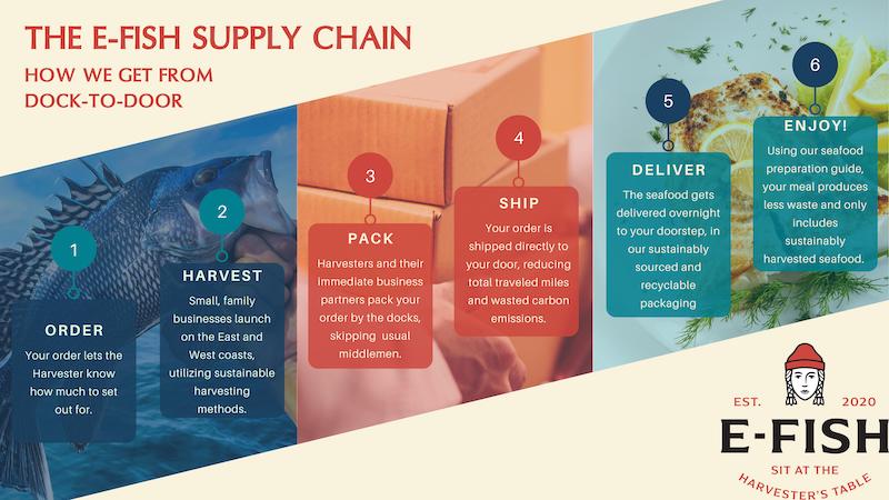 step by step of supply chain by E FIsh Seafood