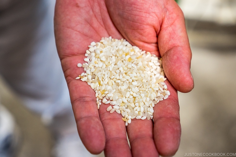 rice inside a hand