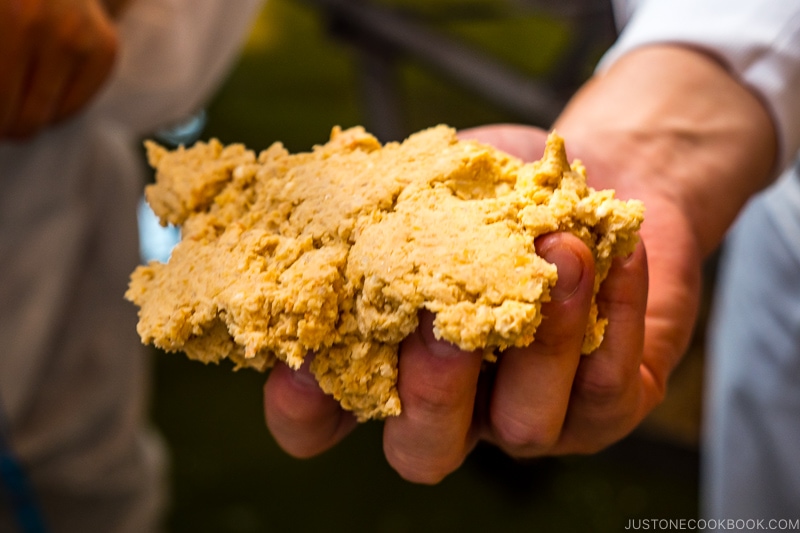 soy bean mixture being held in a hand