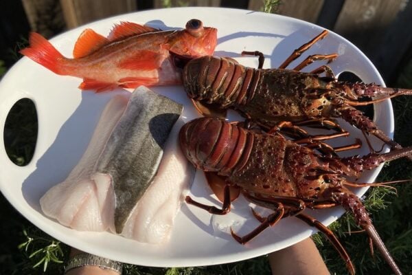 image of spiny lobsters, black cod and rockfish from E Fish giveaway