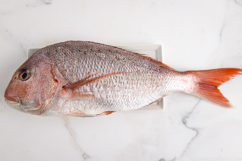 Sea Bream (Madai)