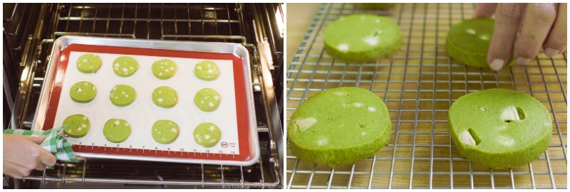 Matcha Cookies 13