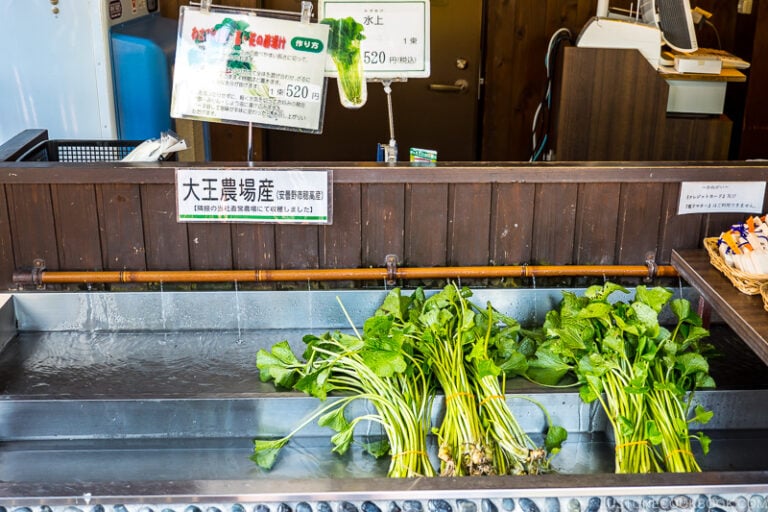 Daio Wasabi Farm • Just One Cookbook