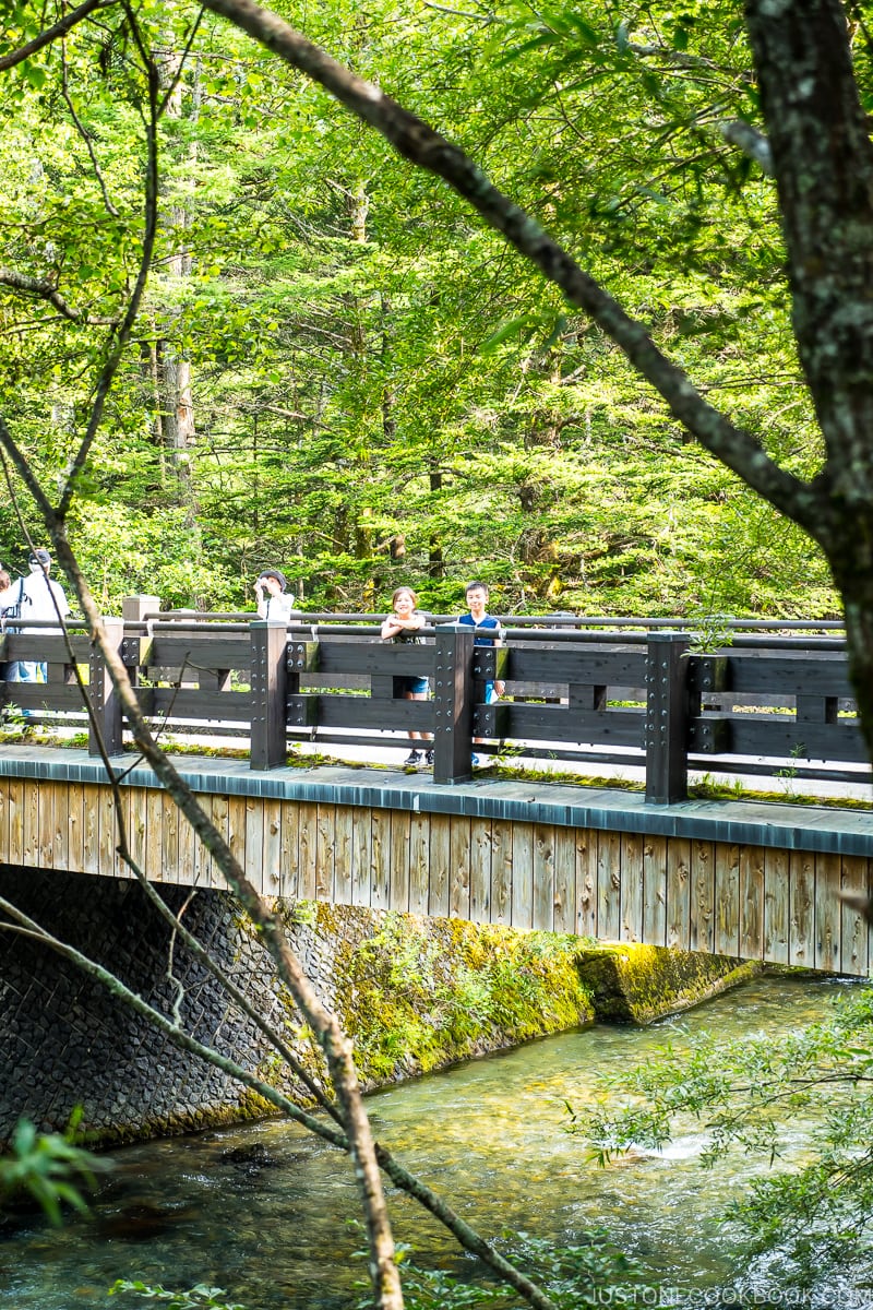 two children standing on a bridge over a river