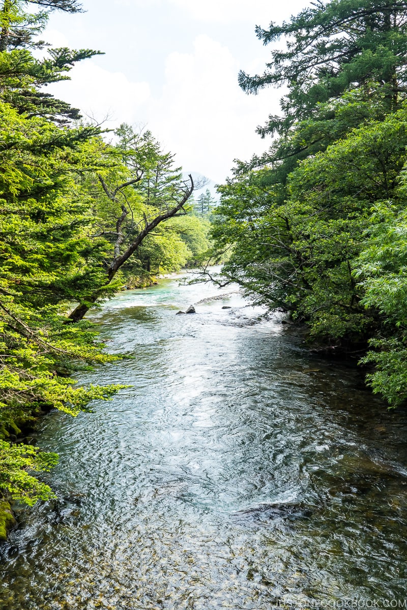 Azusa River flowing between trees on both sides of the river bank