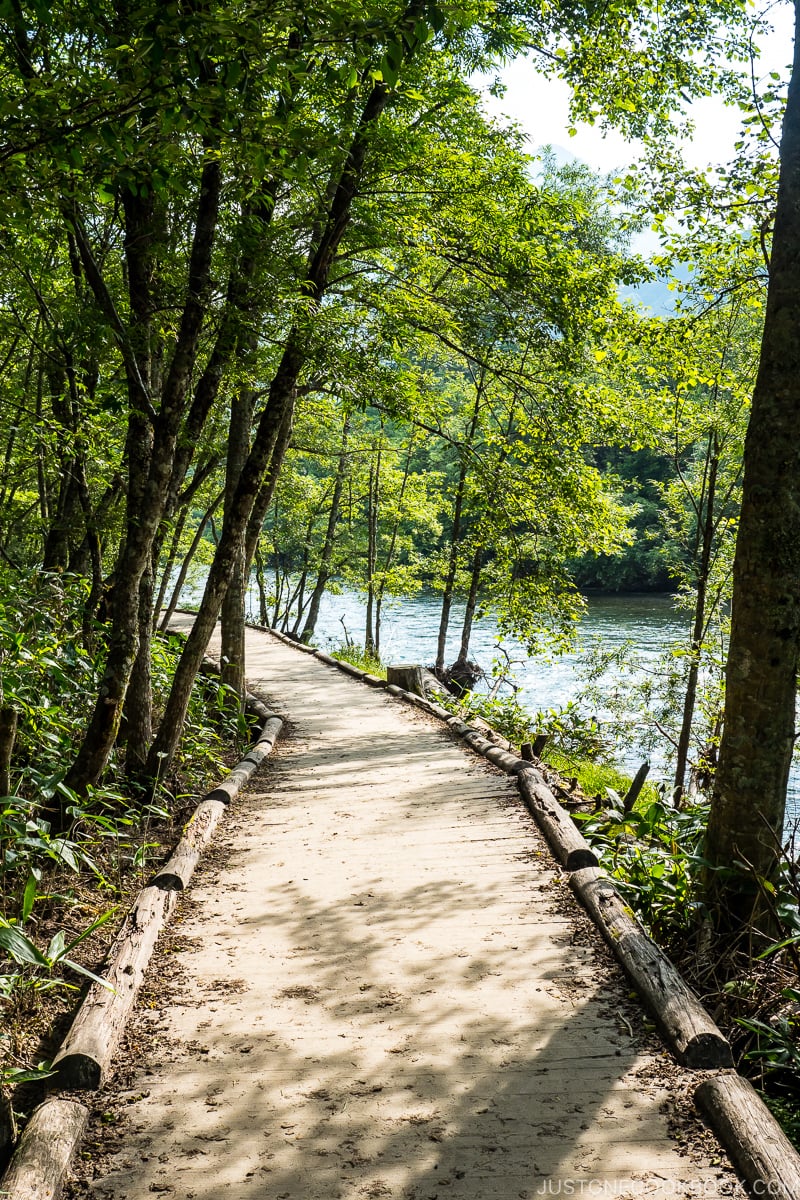 a wood walking path with Azusa river to the right and trees on the left