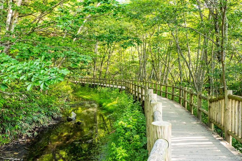 a wood walking path with handrails on both sides surrounded by trees