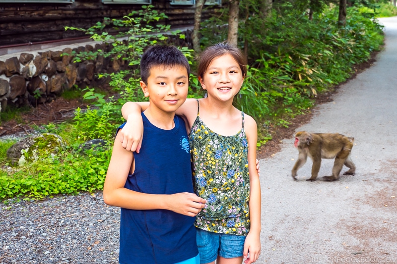 two children with a monkey in the background