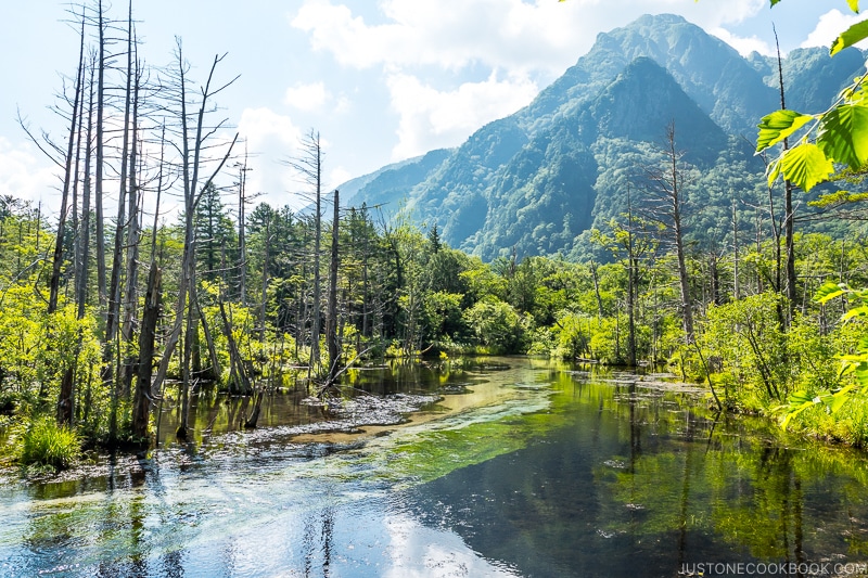 Azusa River flowing between trees on both sides of the river bank