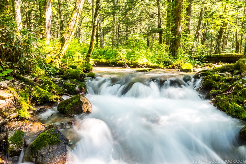 river flowing down rocks in the forest