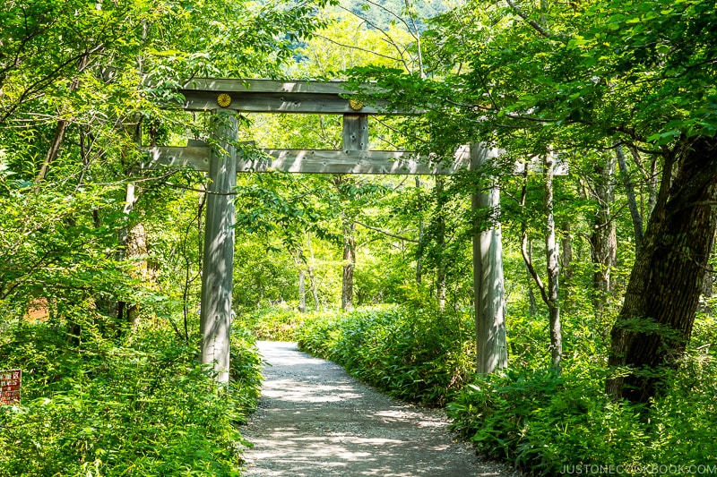 stone pathway surrounded by shrubs and trees with a torii gate above it
