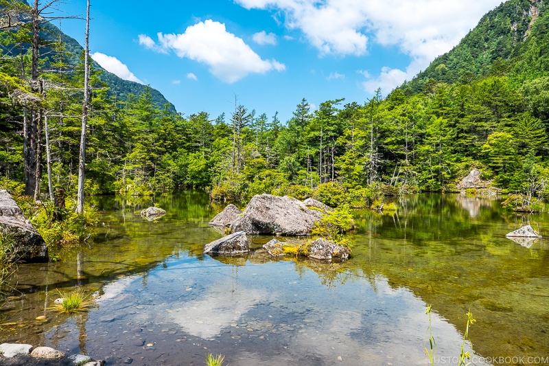 a pond with rock and tree scenery reflecting in the water