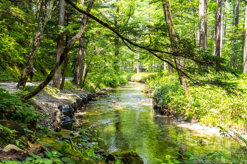 Azusa River flowing between trees on both sides of the river bank