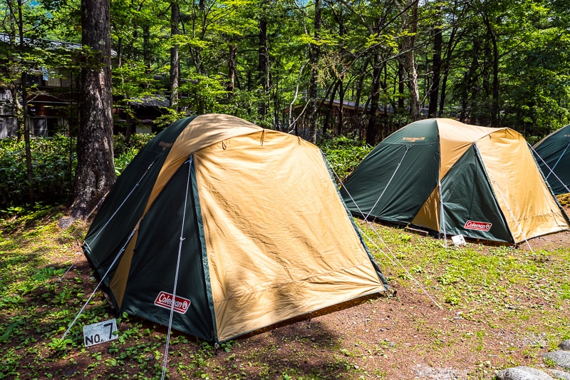 tentes setup on campground with trees in the back