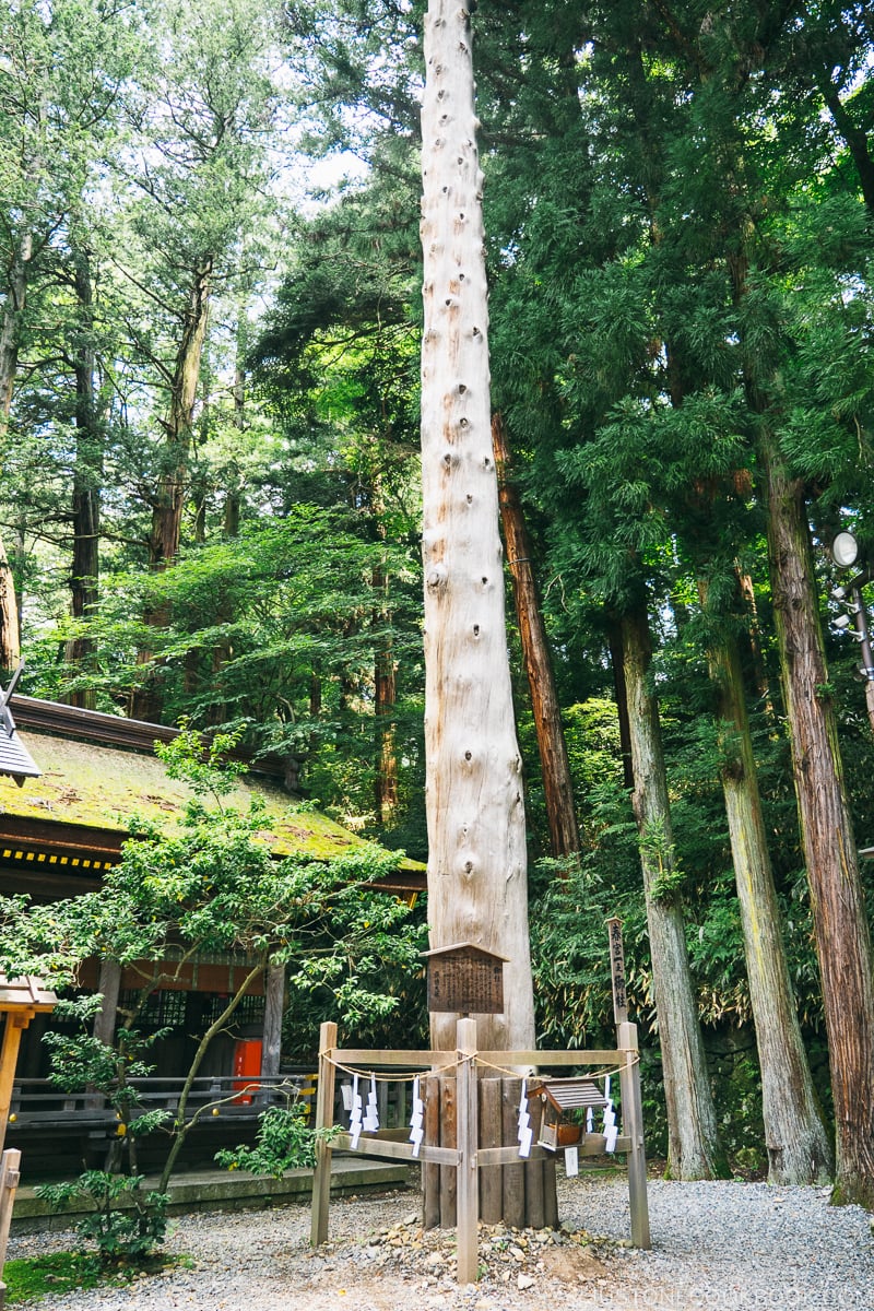 one of the main wood pillars at Harumiya