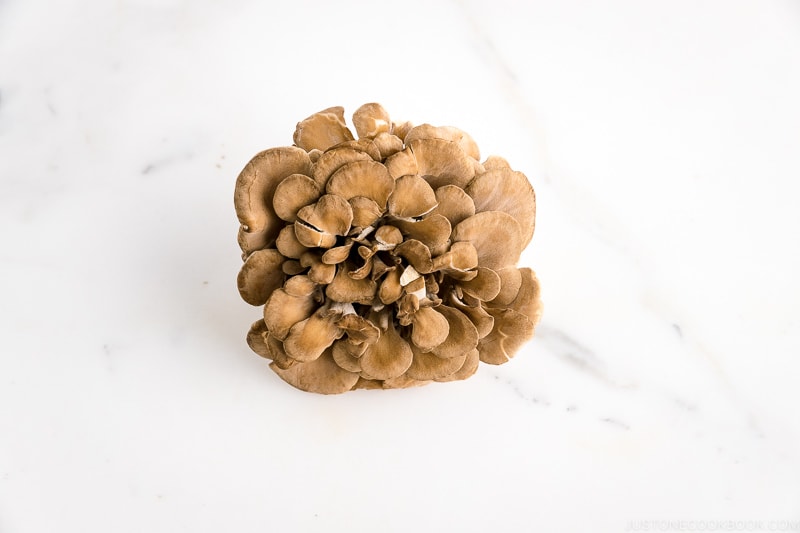 Maitake Mushroom