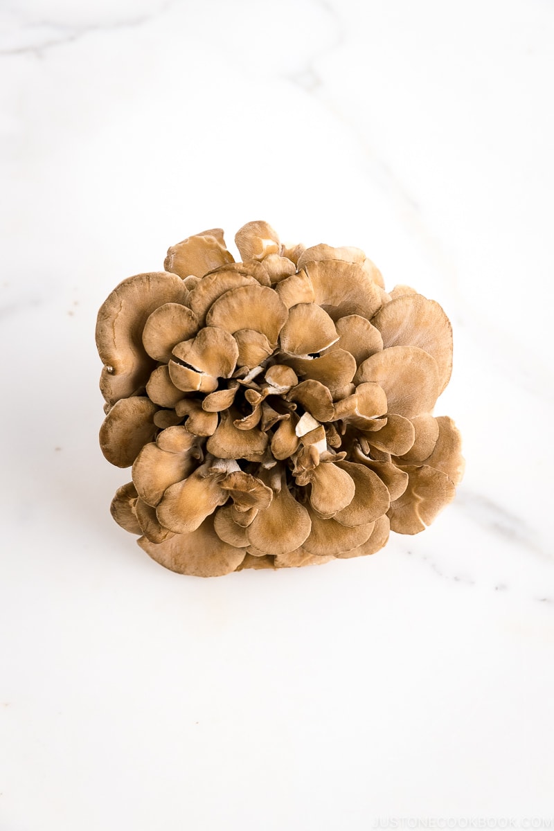 Maitake Mushroom - Just One Cookbook