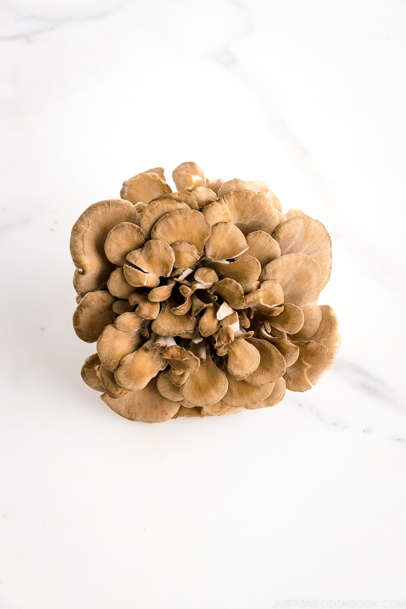 Maitake Mushroom