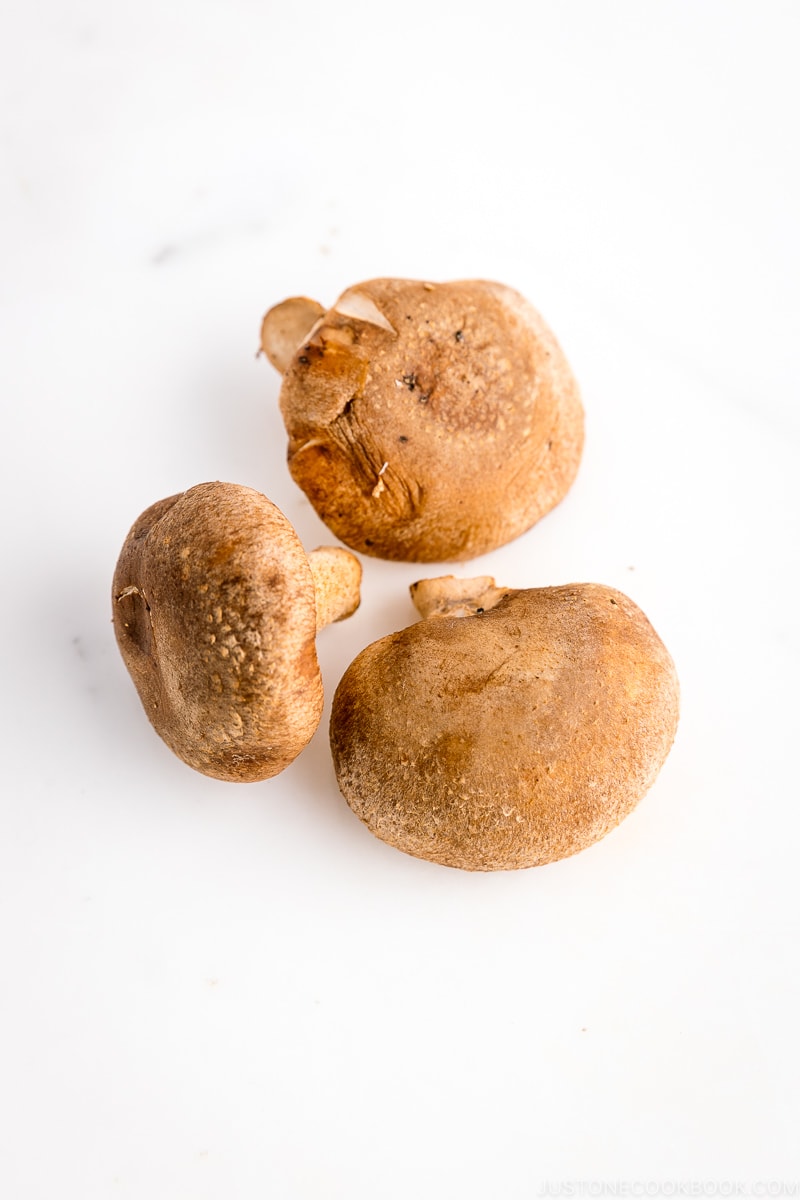 Shitake – Cook Tokyo