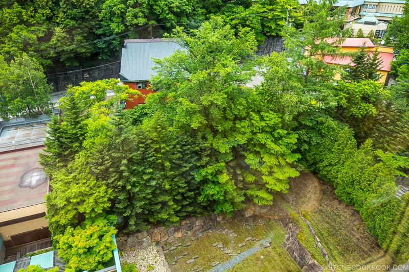 view of Hana Momiji Sapporo garden from guest room