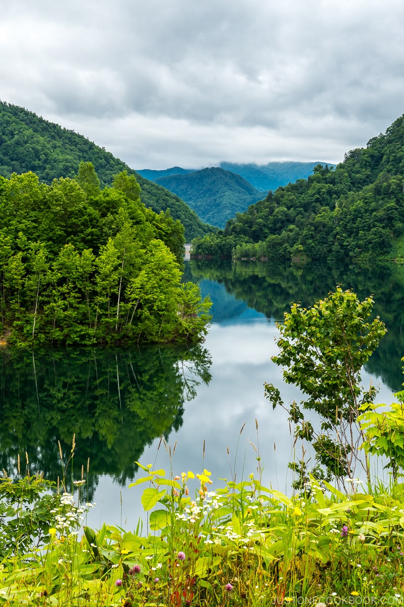 view of Sapporo Lake from the 4th Observation Deck