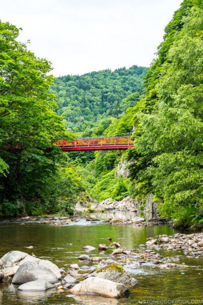 Futami suspension bridge at Jozankeifutami Park
