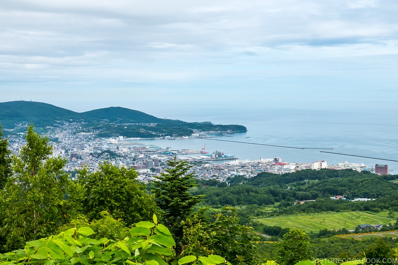 view of Otaru from Kenashiyama Observation Deck