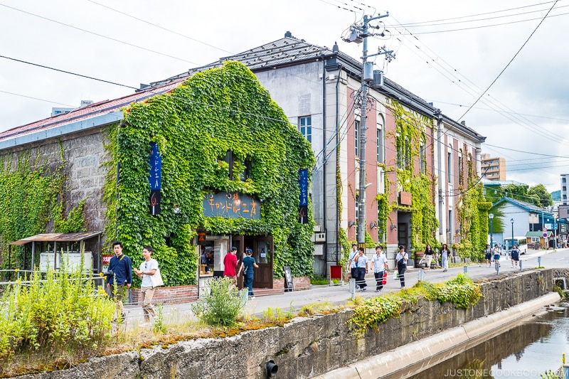 brick buildings covered in ivy next to a canal